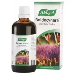 Boldocynara