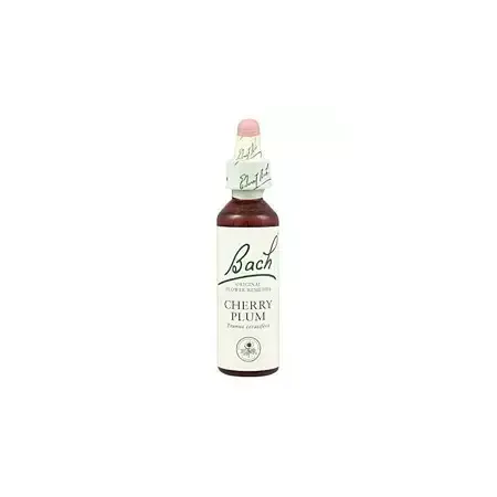 Cherry Plum - Cerasífera