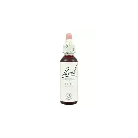 Elm - Olmo