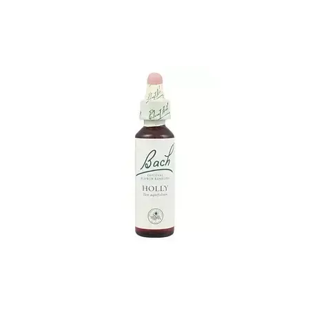 Holly - Acebo