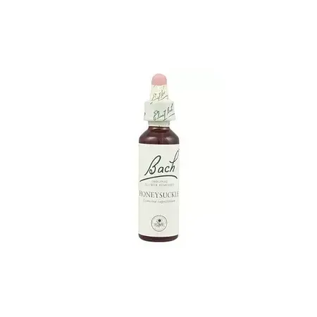 Honeysuckle - Madreselva