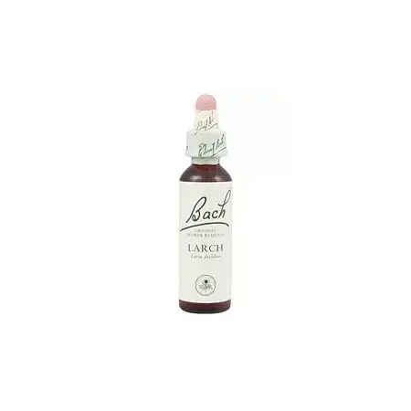 Larch - Alerce