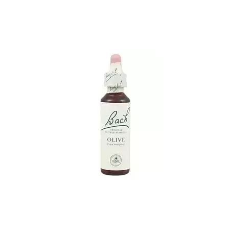 Olive - Olivo