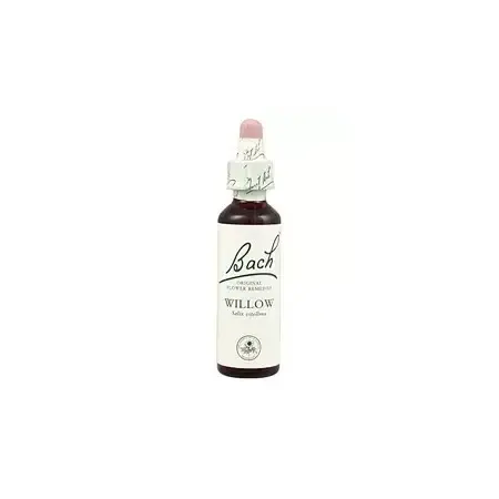Willow - Sauce