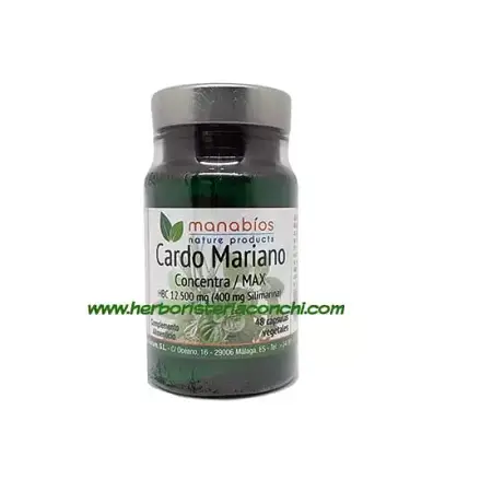 Cardo Mariano - Concentra / MAX