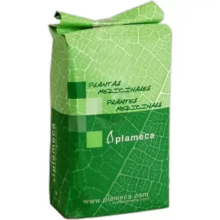 Té Verde - 1 Kg