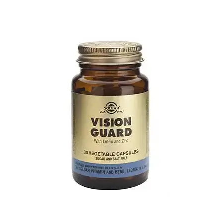 Vision Guard
