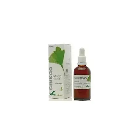 Extracto de Ginkgo Biloba
