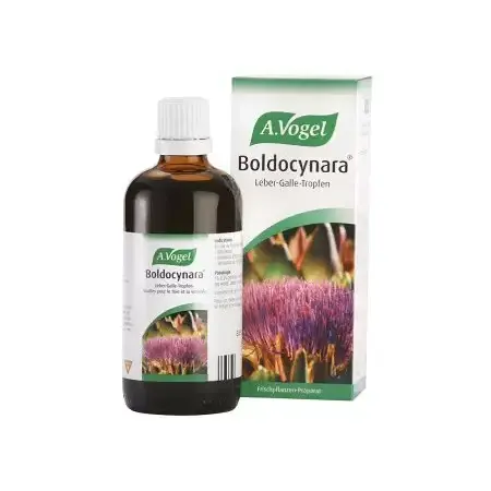 Boldocynara